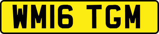 WM16TGM