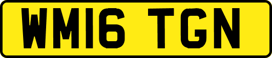 WM16TGN