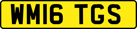 WM16TGS