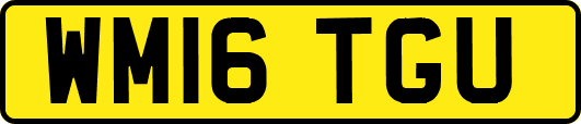 WM16TGU