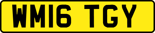 WM16TGY