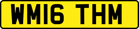 WM16THM