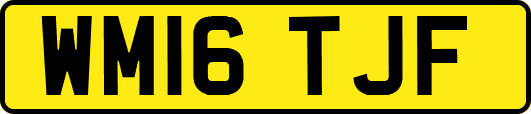 WM16TJF