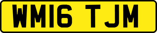 WM16TJM