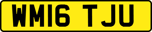WM16TJU
