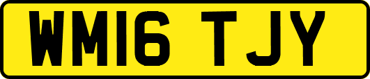 WM16TJY