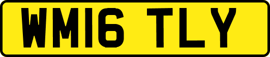 WM16TLY