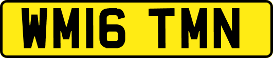 WM16TMN