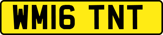 WM16TNT