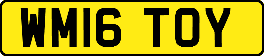 WM16TOY