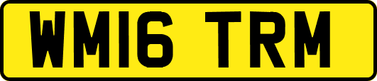 WM16TRM