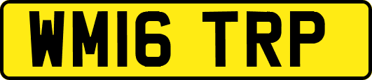 WM16TRP