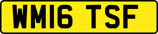 WM16TSF