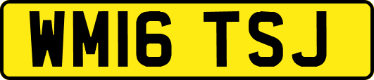 WM16TSJ