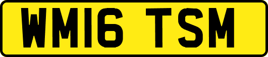 WM16TSM