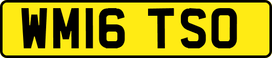 WM16TSO
