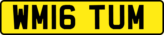 WM16TUM