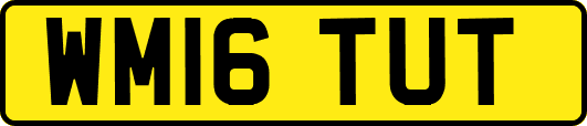 WM16TUT