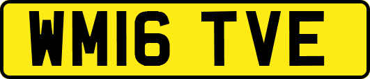 WM16TVE
