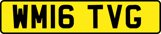 WM16TVG