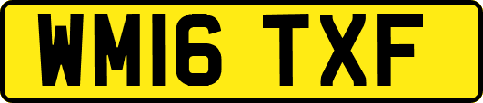 WM16TXF