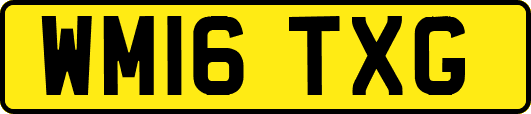 WM16TXG