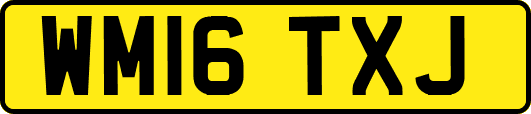 WM16TXJ