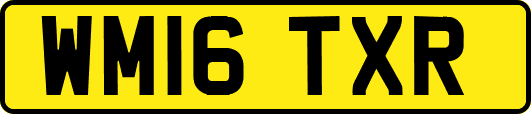 WM16TXR