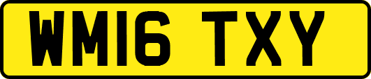 WM16TXY