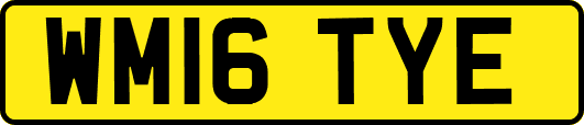 WM16TYE