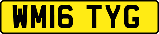 WM16TYG