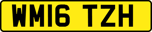 WM16TZH