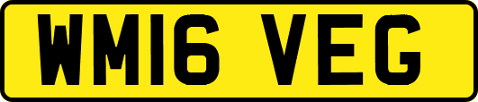 WM16VEG