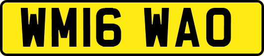 WM16WAO