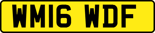 WM16WDF