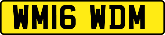 WM16WDM