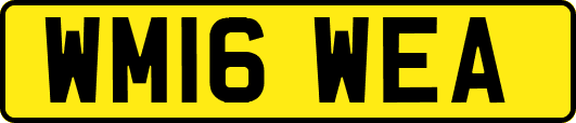 WM16WEA