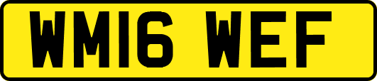 WM16WEF