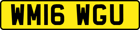 WM16WGU