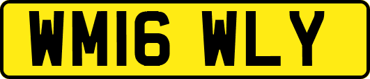 WM16WLY