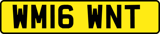 WM16WNT