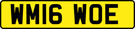 WM16WOE