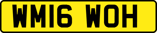 WM16WOH