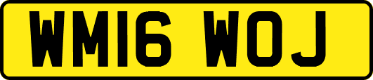 WM16WOJ