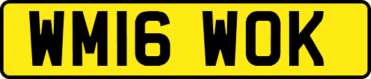 WM16WOK