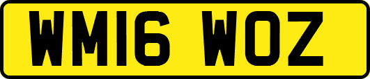 WM16WOZ