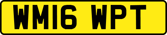WM16WPT