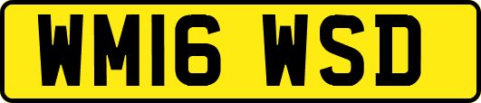 WM16WSD