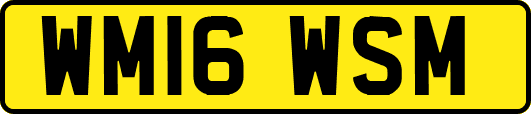 WM16WSM