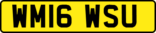 WM16WSU